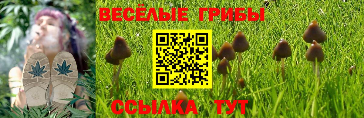 Галлюциногенные грибы прущие грибы Ревда