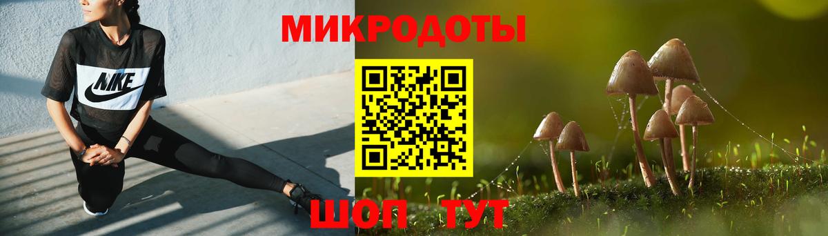 Галлюциногенные грибы Psilocybe  Галлюциногенные грибы мухоморы  Ревда  Вход с VPN 